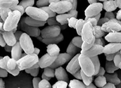 新材料分子篩的制備和應用